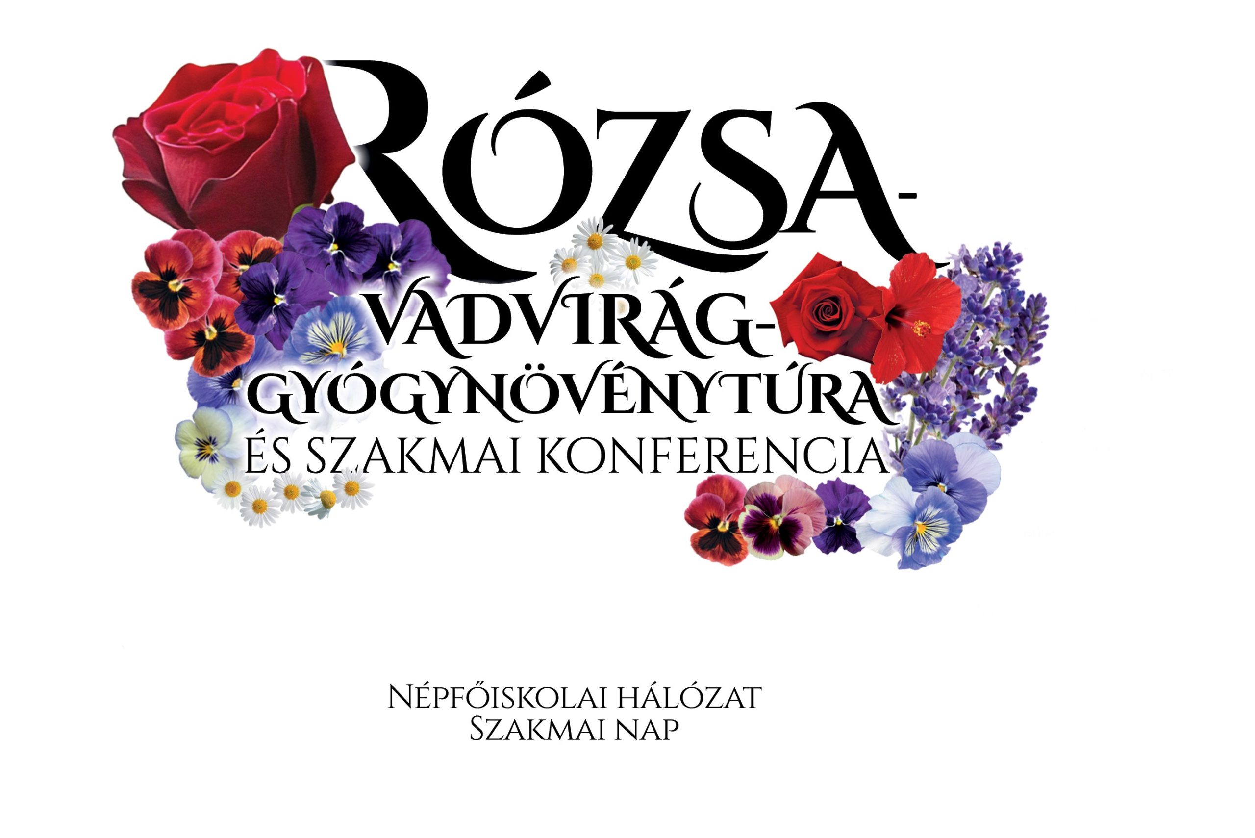 rozsa vadvirag gyogynovenytura szakmai konferencia meghivo boritokep